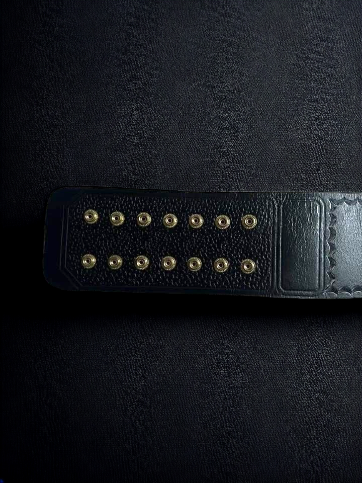 NXT Tag Team Championship Belt Title Replica